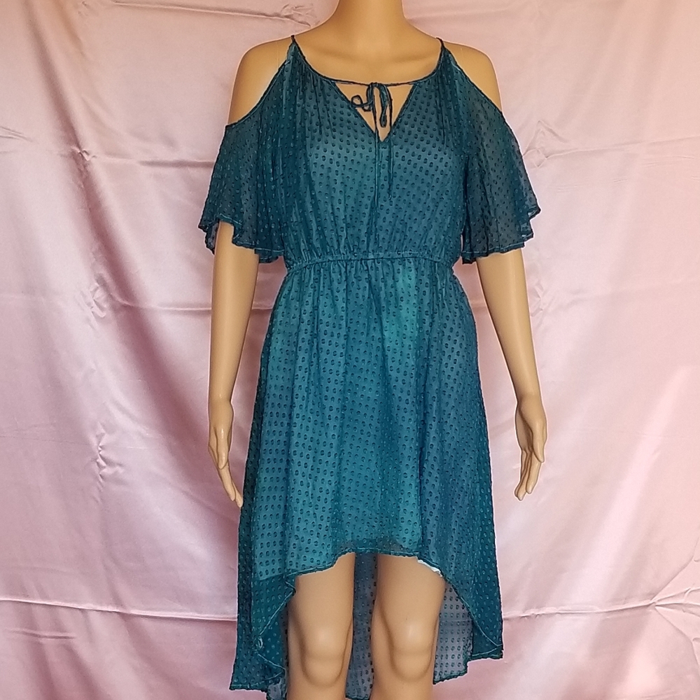 Blue Silk Swiss Dot High Low Dress